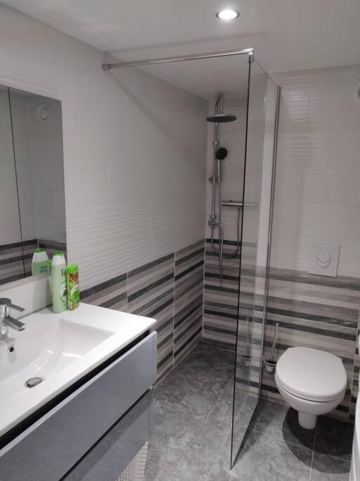 Appartamento Le Business, Duplex Moderne Special Pro De Passage Sarreguemines Esterno foto